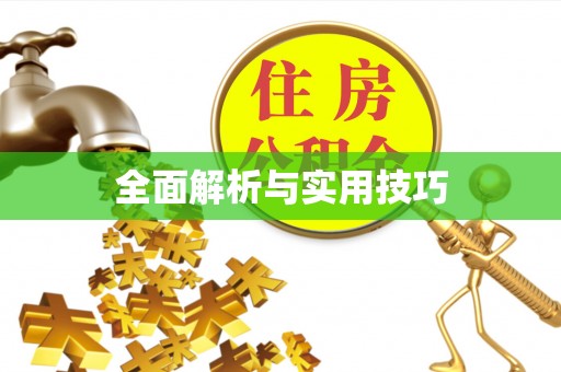 肃州全面解析与实用技巧
