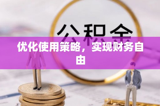肃州优化使用策略，实现财务自由