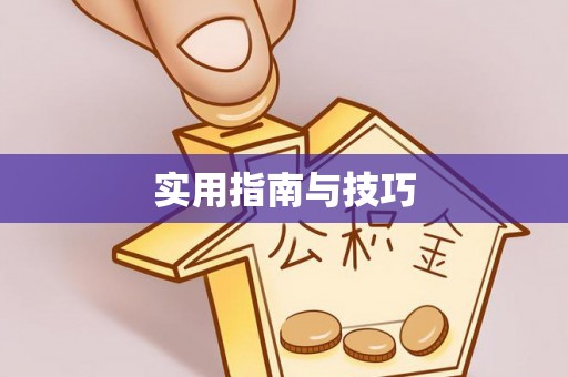 肃州实用指南与技巧