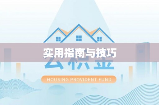 肃州实用指南与技巧