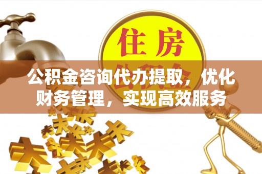 肃州公积金咨询代办提取，优化财务管理，实现高效服务
