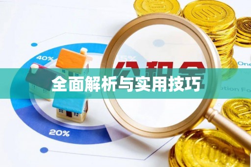 肃州全面解析与实用技巧