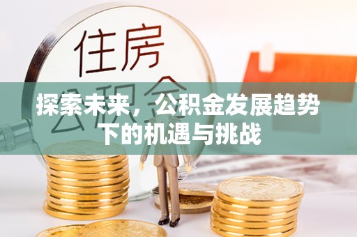 肃州探索未来，公积金发展趋势下的机遇与挑战