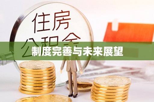 肃州制度完善与未来展望