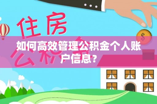 肃州如何高效管理公积金个人账户信息？
