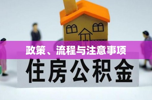 肃州政策、流程与注意事项