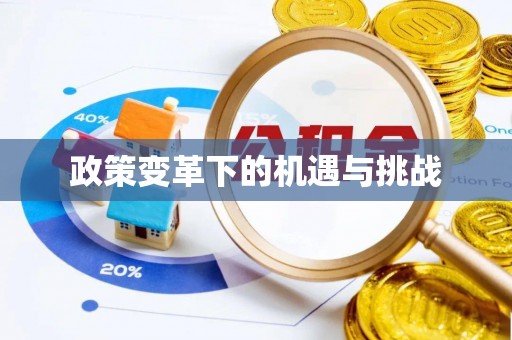 肃州政策变革下的机遇与挑战