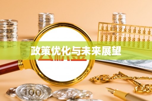 肃州政策优化与未来展望