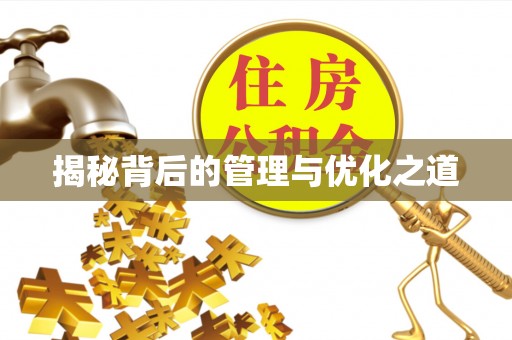 肃州揭秘背后的管理与优化之道