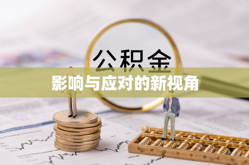 肃州影响与应对的新视角