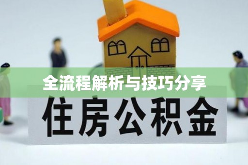 肃州全流程解析与技巧分享