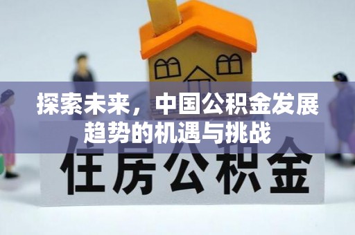 肃州探索未来，中国公积金发展趋势的机遇与挑战