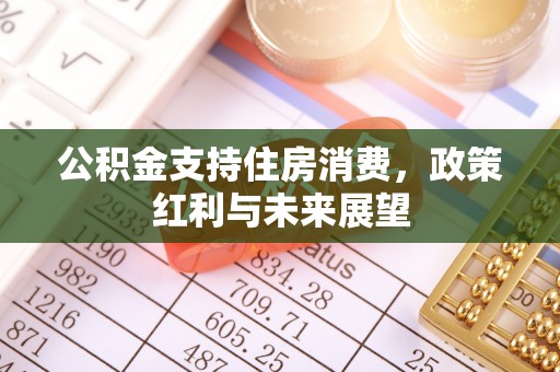 肃州公积金支持住房消费，政策红利与未来展望